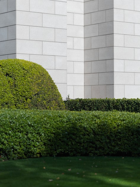 Creating Beautiful Garden Designs