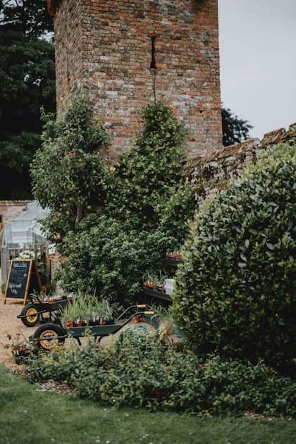 Rock Gardens: A Unique Landscaping Option